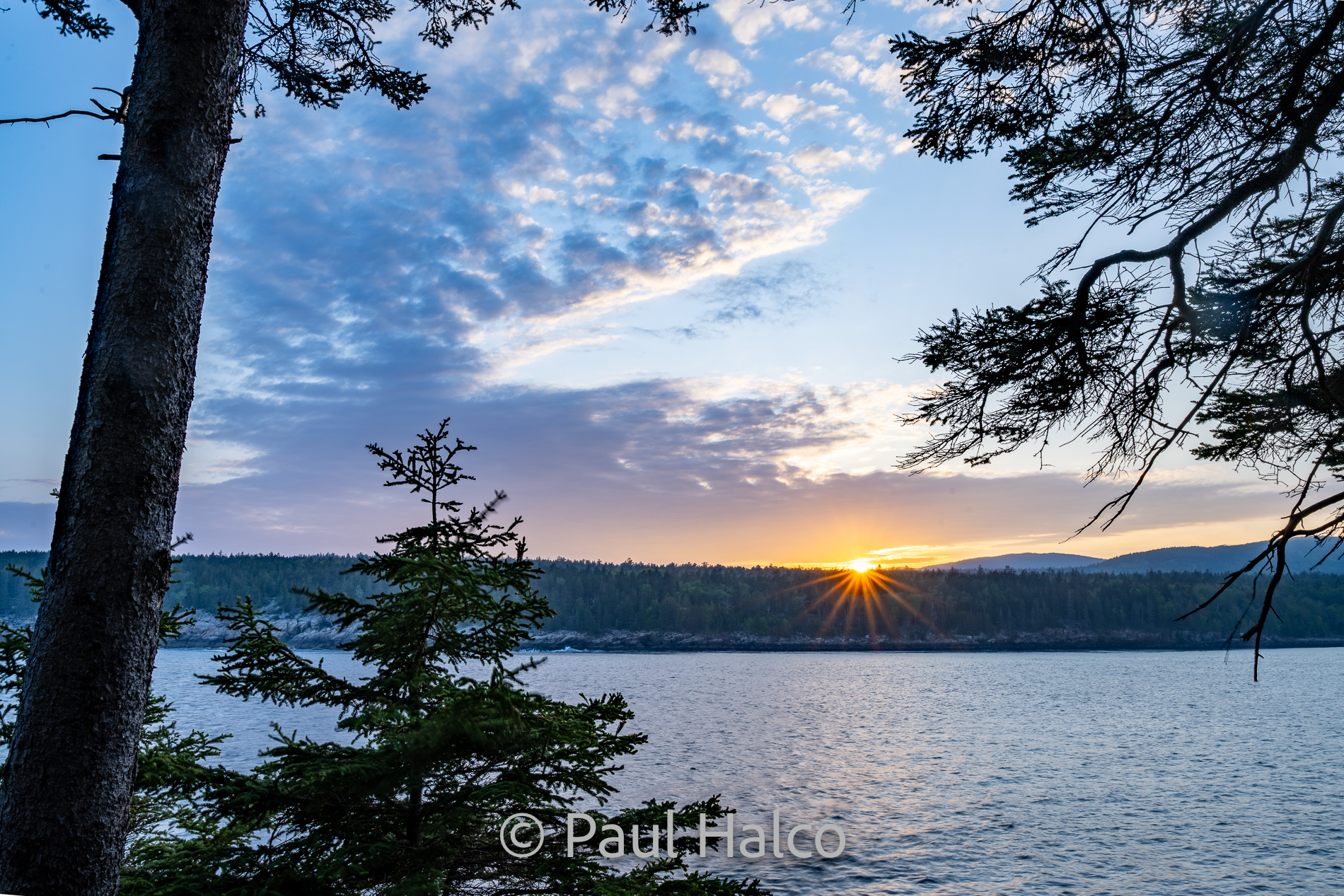 Paul Halco-Acadia NP-25